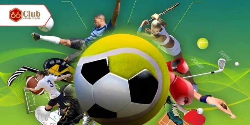 Bộ môn hấp dẫn hội viên nhà cái tham gia cá cược