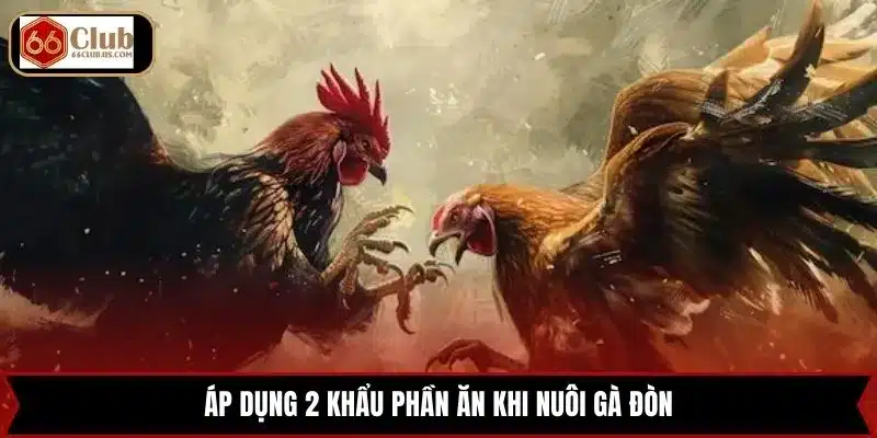 Áp dụng 2 khẩu phần ăn khi nuôi gà đòn