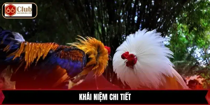 Khái niệm chi tiết