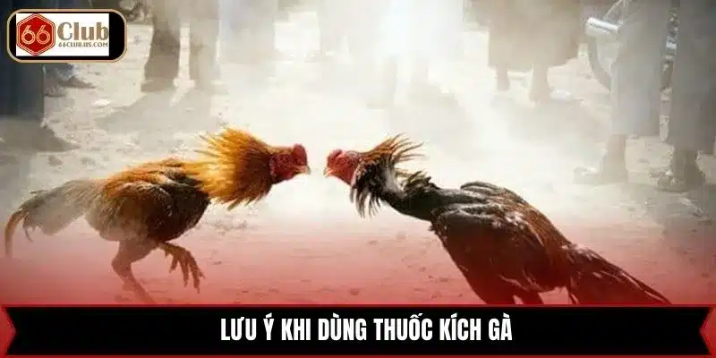 Lưu ý khi dùng thuốc kích gà