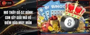 Mơ Thấy Số 57 Đánh Con Gì? Giải Mã Về Điềm Báo May Mắn