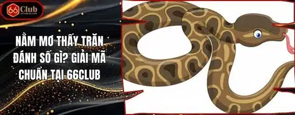 Nằm Mơ Thấy Trăn Đánh Số Gì? Giải Mã Chuẩn Tại 66club