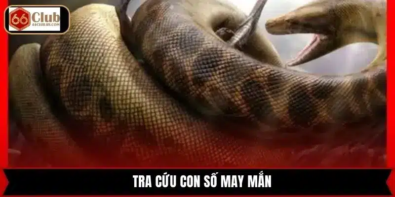 Tra cứu con số may mắn