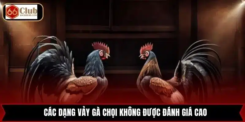 Các dạng vảy gà chọi không được đánh giá cao