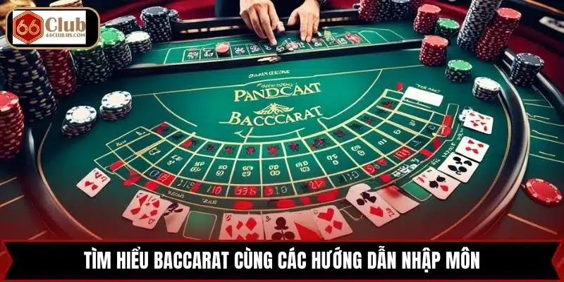 Tìm hiểu Baccarat cùng các hướng dẫn nhập môn